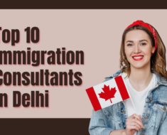 Top 10 Immigration Consultants in Delhi