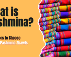 What is Pashmina